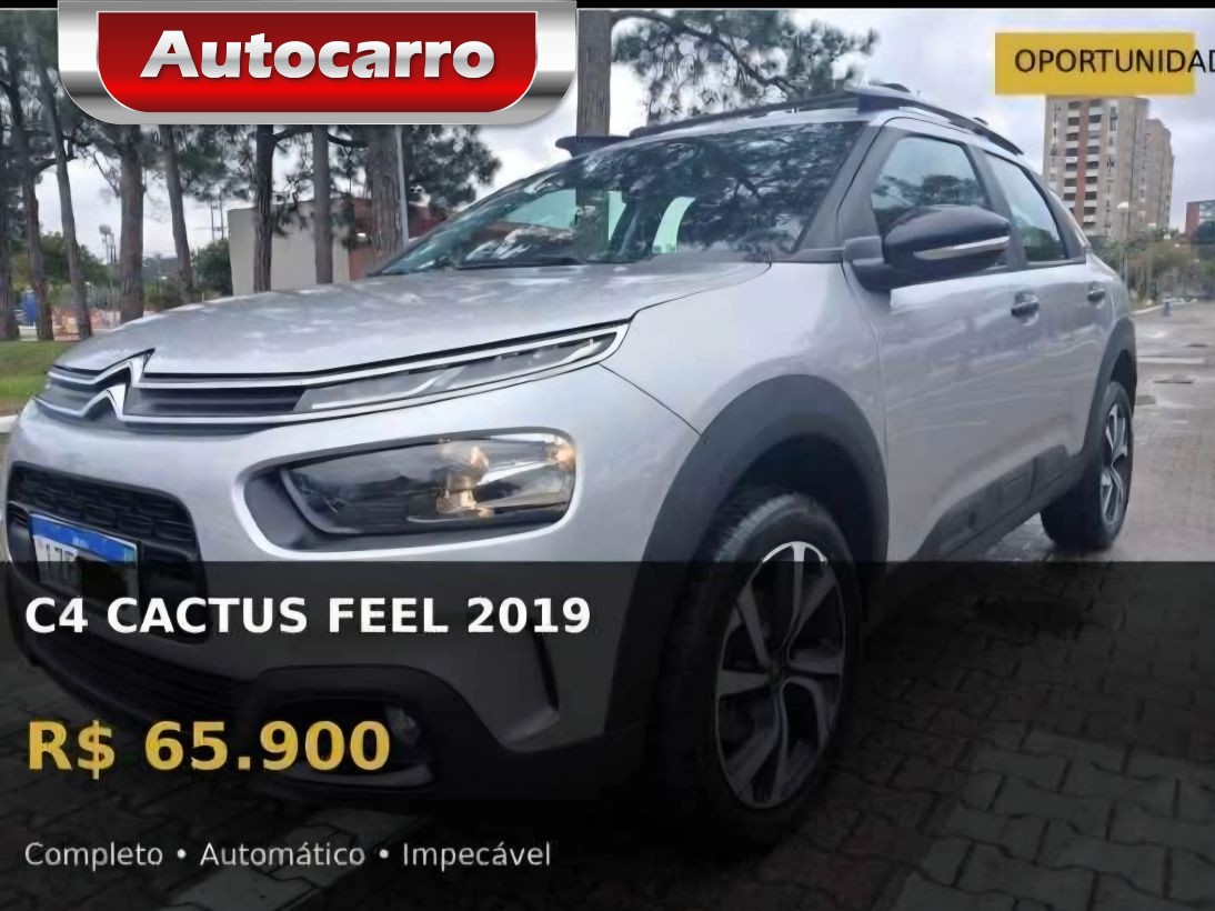 Citroën C4 Cactus 2019