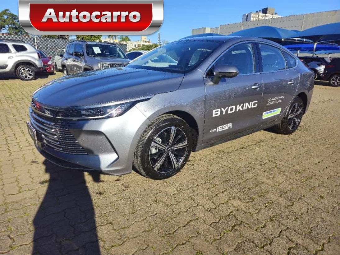 BYD King OTHERS 2025