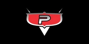 Logo da revenda PONATH VEICULOS